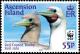 Colnect-3190-152-Red-footed-booby-Sula-sula.jpg