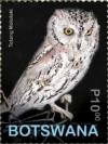 Colnect-7124-463-African-Scops-Owl-Otus-senegalensis.jpg