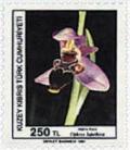 Colnect-1687-313-Ophrys-lapethica.jpg