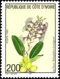 Colnect-6142-408-Bulbophyllum-barbigerum.jpg