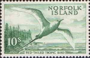 Colnect-1159-213-Red-tailed-Tropicbird-Phaethon-rubricauda.jpg