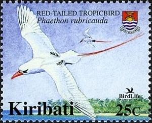 Colnect-2609-639-Red-tailed-Tropicbird-Phaethon-rubricauda.jpg