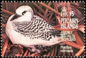 Colnect-2649-179-Red-tailed-Tropicbird-Phaethon-rubricauda.jpg