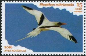 Colnect-3661-827-Red-tailed-tropicbird-Phaethon-rubricauda.jpg