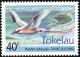 Colnect-1458-498-Red-tailed-Tropicbird-Phaethon-rubricauda.jpg