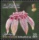 Colnect-3496-938-Bulbophyllum-longiflorum.jpg