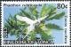Colnect-3742-810-Red-tailed-Tropicbird-Phaethon-rubricauda.jpg