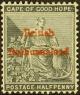 Colnect-4123-297-Cape-of-Good-Hope-stamps-overprinted-in-Red.jpg