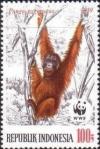 Colnect-1141-104-Bornean-Orangutan-Pongo-pygmaeus.jpg