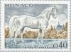 Colnect-148-197-Lipizzan-Horse-Equus-ferus-caballus.jpg