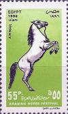 Colnect-3515-523-Arabian-Horse-Equus-ferus-caballus.jpg