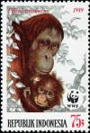 Colnect-4799-936-Bornean-Orangutan-Pongo-pygmaeus.jpg