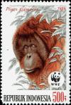 Colnect-4800-029-Bornean-Orangutan-Pongo-pygmaeus.jpg