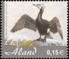 Colnect-5174-549-Eurasian-Great-Cormorant-Phalacrocorax-carbo-sinensis.jpg