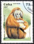 Colnect-1079-258-Bornean-Orangutan-Pongo-pygmaeus.jpg