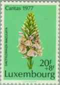 Colnect-134-394-Heath-Spotted-Orchid-Dactylorhiza-maculata.jpg