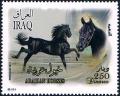 Colnect-2219-433-Arabian-Horse-Equus-ferus-caballus.jpg