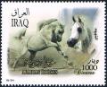 Colnect-2219-435-Arabian-Horse-Equus-ferus-caballus.jpg