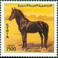 Colnect-2225-214-Arabian-Horse-Equus-ferus-caballus.jpg