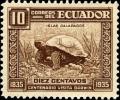 Colnect-2239-077-Galapagos-Tortoise-Chelonoidis-nigra-.jpg