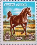 Colnect-3350-190-Arabian-Horse-Equus-ferus-caballus.jpg