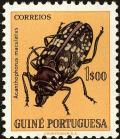 Colnect-4489-176-Acanthophorus-Longhorn-Beetle-Acanthophorus-maculatus.jpg
