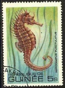 Colnect-965-755-Lined-Seahorse-Hippocampus-erectus.jpg