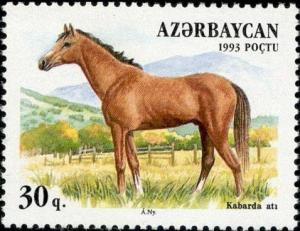 Colnect-1092-505-Kabarda-Horse-Equus-ferus-caballus.jpg