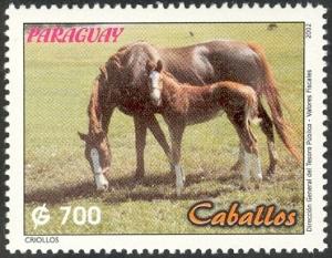 Colnect-1300-523-Criollo-Horse-Equus-ferus-caballus.jpg