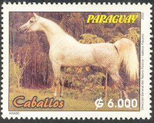 Colnect-1300-525-Arabian-Horse-Equus-ferus-caballus.jpg