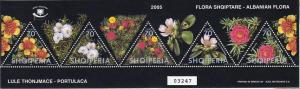 Colnect-1533-577-Portulaca-flowers.jpg