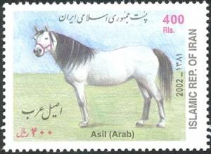 Colnect-1581-196-Asil-Arab-Horse-Equus-ferus-caballus-.jpg