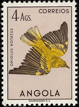 Colnect-1762-543-African-Golden-Oriole-Oriolus-auratus-notatus.jpg