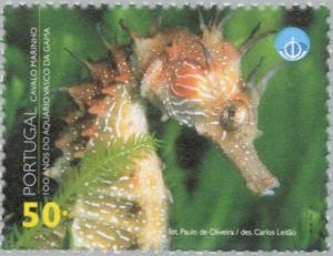 Colnect-180-913-Seahorse-Hippocampus-sp.jpg