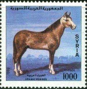 Colnect-2225-211-Arabian-Horse-Equus-ferus-caballus.jpg