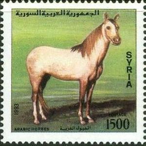 Colnect-2225-213-Arabian-Horse-Equus-ferus-caballus.jpg