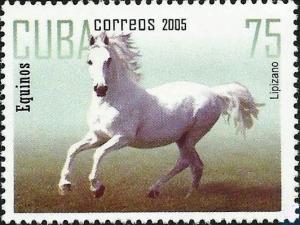 Colnect-2567-232-Lipizzan-Horse-Equus-ferus-caballus.jpg