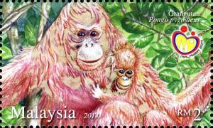Colnect-2568-013-Bornean-Orangutan-Pongo-pygmaeus.jpg