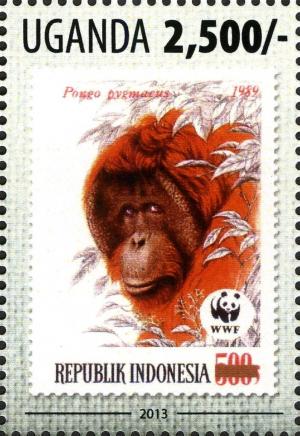 Colnect-3053-280-Bornean-Orangutan-Pongo-pygmaeus.jpg
