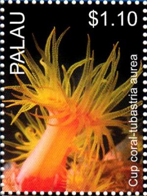 Colnect-4910-085-Cup-coral-Tubastrea-aurea.jpg