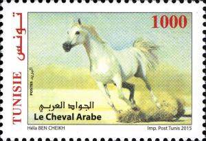 Colnect-5277-296-Arabian-Horse-Equus-ferus-caballus.jpg