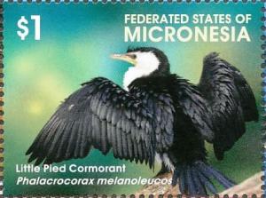 Colnect-5782-027-Little-Pied-Cormorant---Microcarbo-melanoleucos.jpg