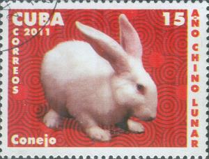 Colnect-5978-084-Domestic-Rabbit-Oryctolagus-cuniculus-domesticus.jpg