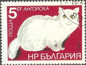 Colnect-615-193-Turkish-Angora-Felis-silvestris-catus.jpg