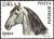 Colnect-571-446-Lipizzan-Horse-Equus-ferus-caballus.jpg