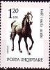 Colnect-1495-532-Arabian-horse-Equus-ferus-caballus.jpg