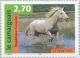 Colnect-146-602-Camargue-Horse-Equus-ferus-caballus.jpg