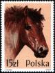 Colnect-1988-448-Ardennes-Horse-Equus-ferus-caballus.jpg