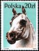 Colnect-1988-450-Arabian-Horse-Equus-ferus-caballus.jpg