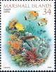 Colnect-3628-536-Corals-and-Fishes.jpg